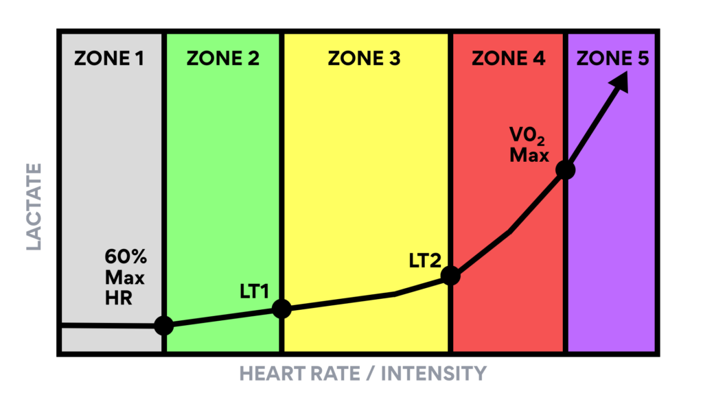 Understanding Polarised Training: A Science-Based Approach to Optimal Endurance