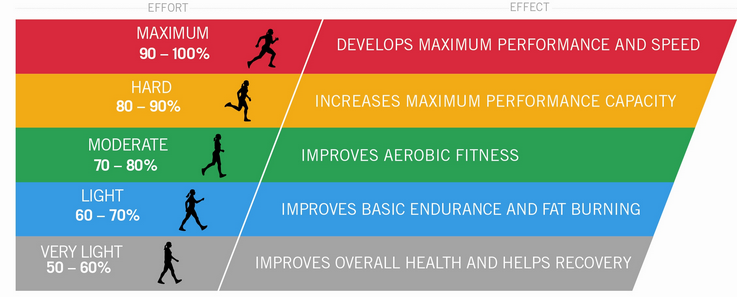 Optimising CV Training with the Five Heart Rate Zone Model